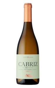 comparar precios vino Cabriz Dão Reserva Encruzado 2019